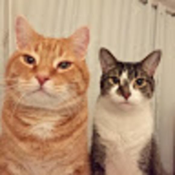 Meet your Posher, O - Picture 1 of 2